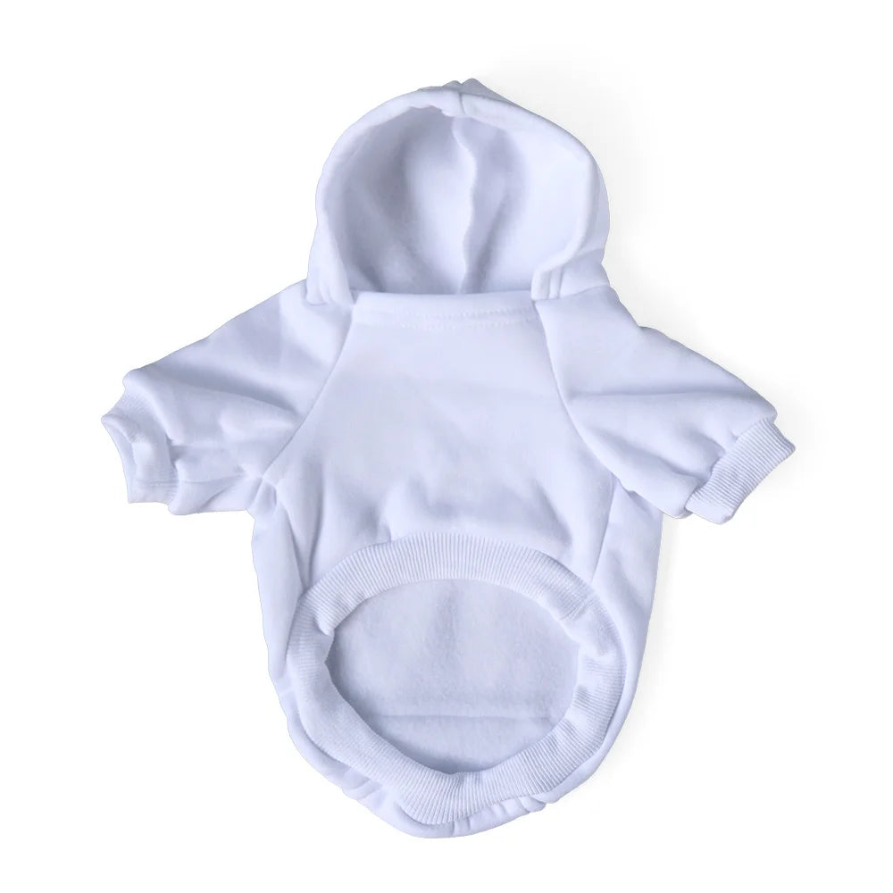 Pucci Bear Graphic Hoodie