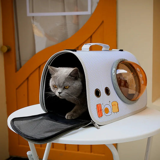 Cat Travel Bag