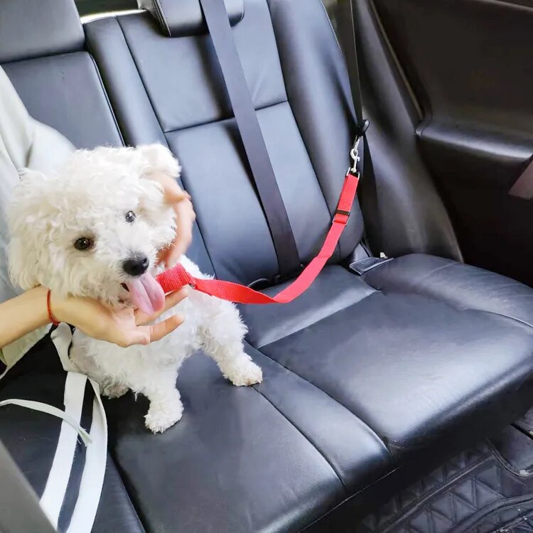 Dog Car Seat Harness