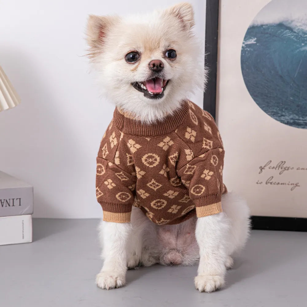 Chewy Louis Sweater