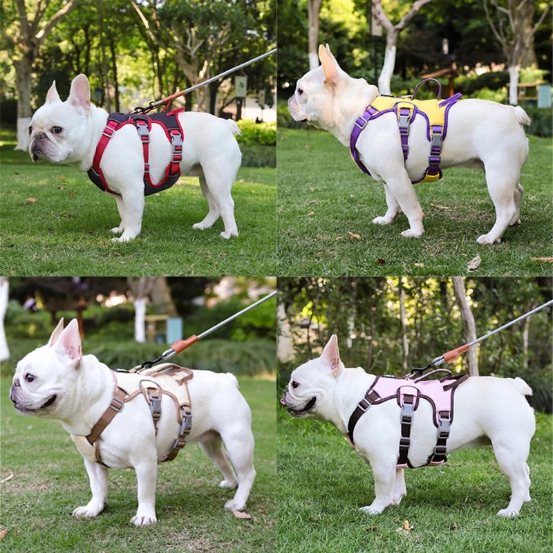 Adjustable Dog Harness