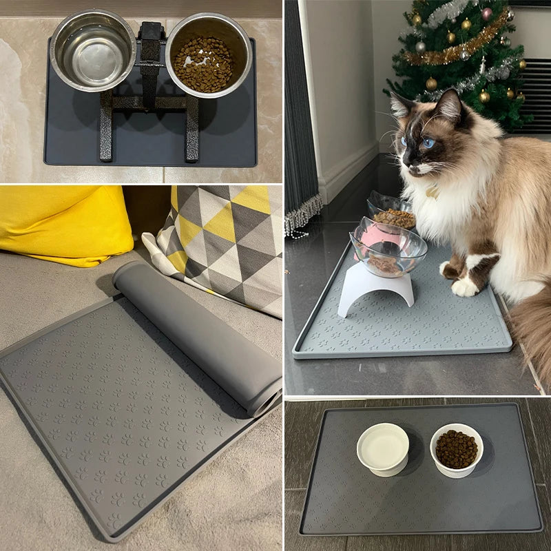 Food Bowl Placemat