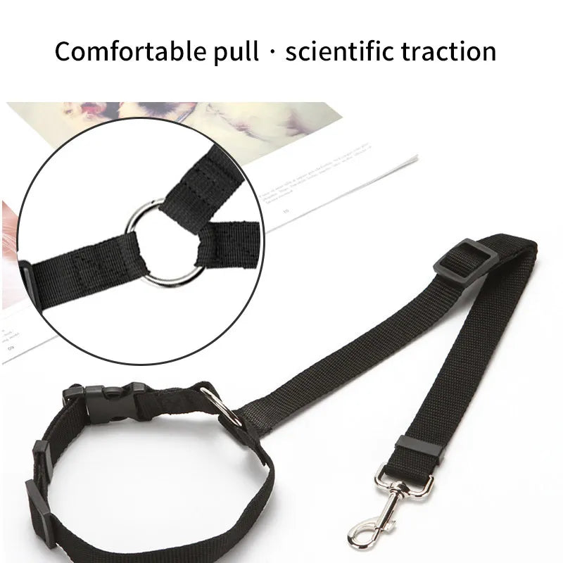 Dog Car Seat Harness