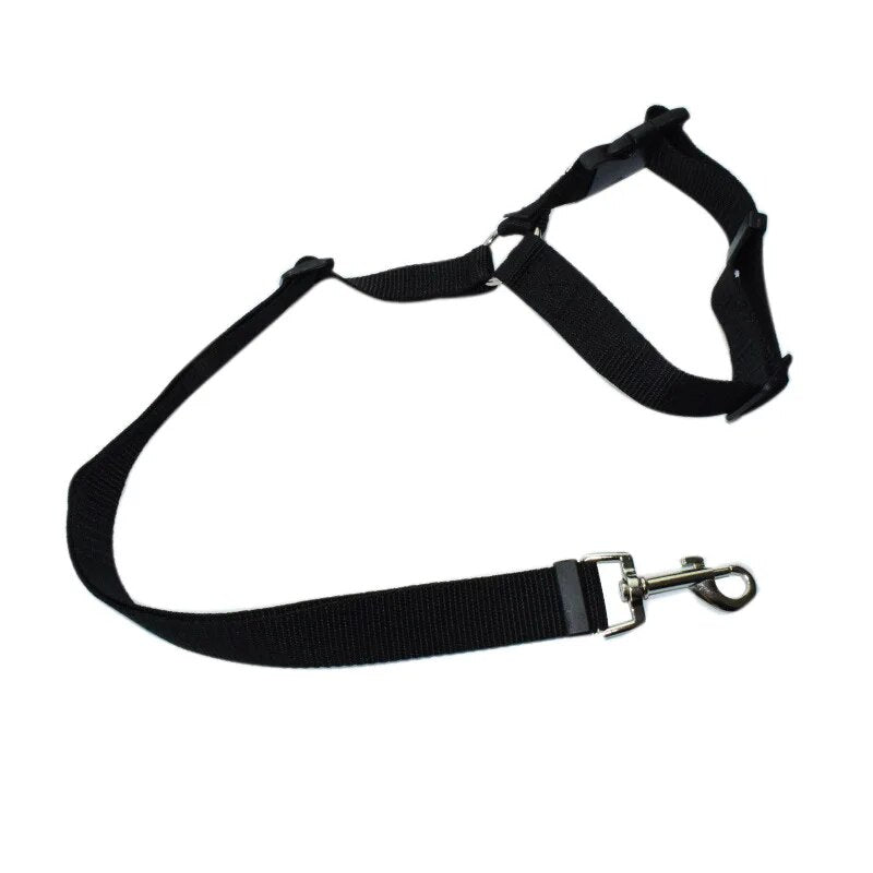 Dog Car Seat Harness