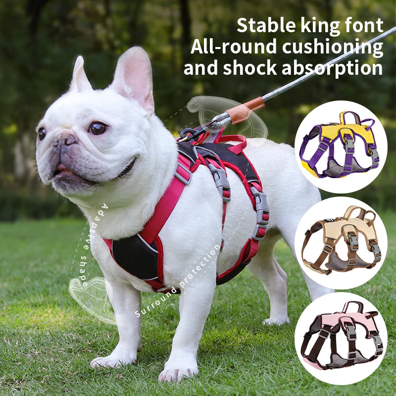 Adjustable Dog Harness