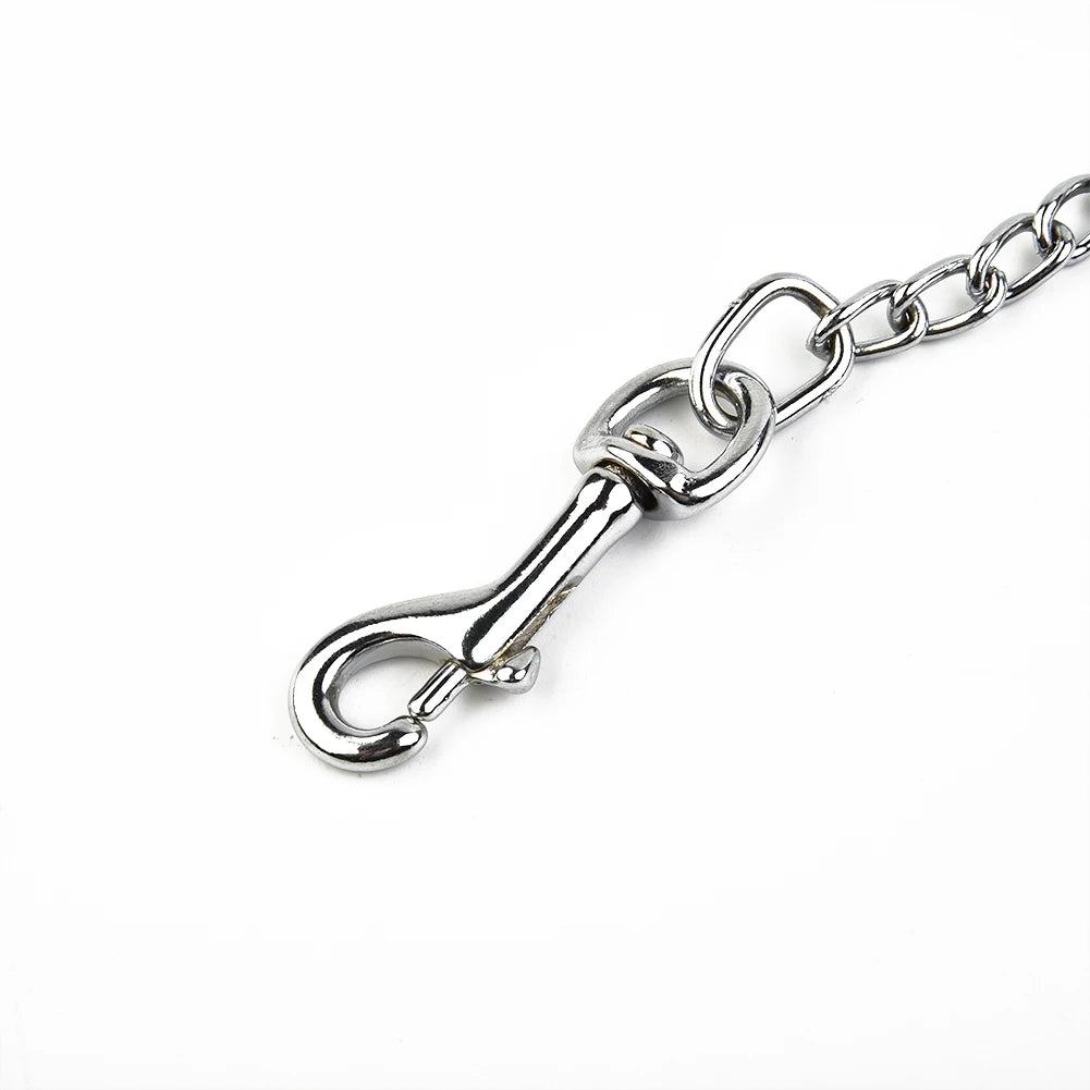 Metal Chain Dog Leash