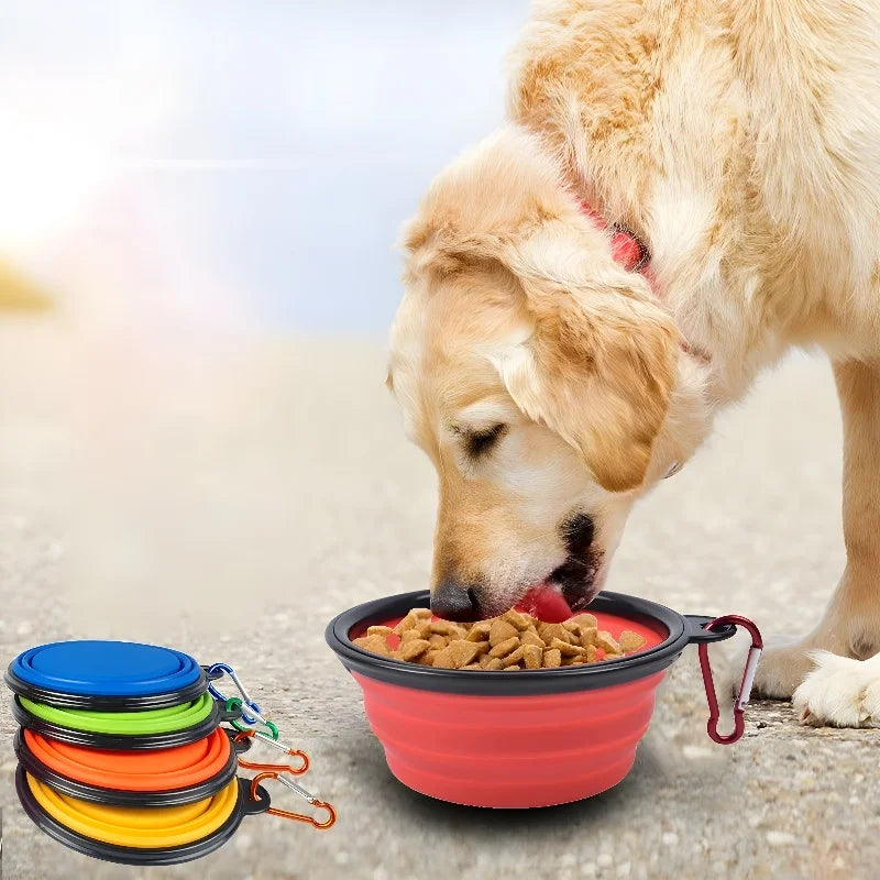 Dog Collapsible Bowl