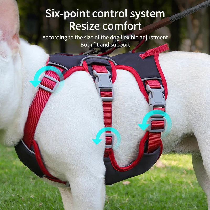 Adjustable Dog Harness